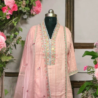 Baby Pink Embroidered Pakistani Suit with Organza Dupatta – Elegant Neck Work & Festive Wear