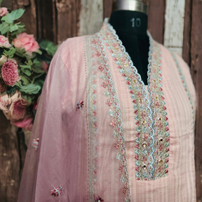 Baby Pink Embroidered Pakistani Suit with Organza Dupatta – Elegant Neck Work & Festive Wear