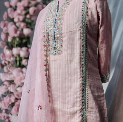 Baby Pink Embroidered Pakistani Suit with Organza Dupatta – Elegant Neck Work & Festive Wear